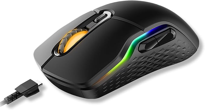 Rapoo v20 PRO mouse gaming